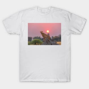 Cheetah at Sunset T-Shirt